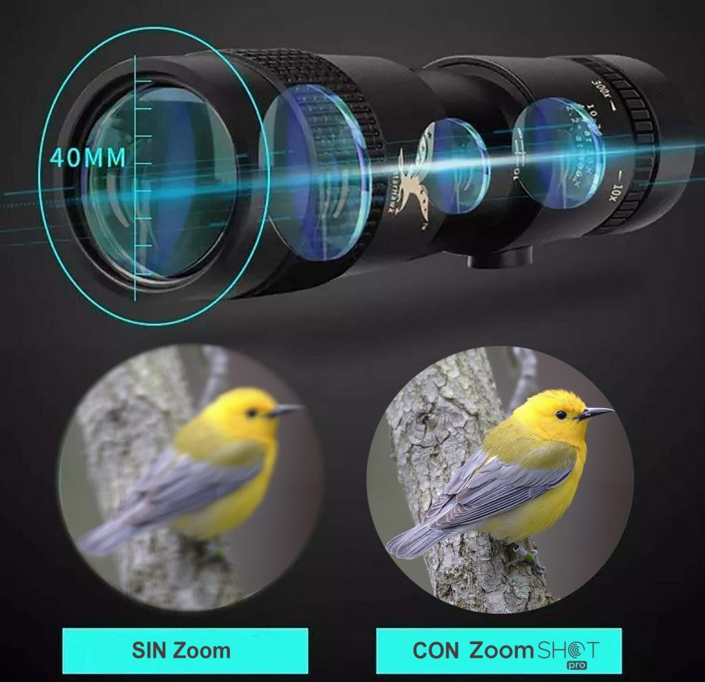 Visión aclarada y aumentada en el Zoom Shot Pro
